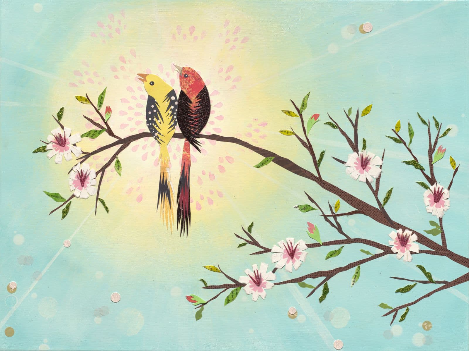 Birds collection